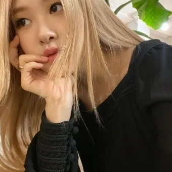 Kotoparm_.의 박채영