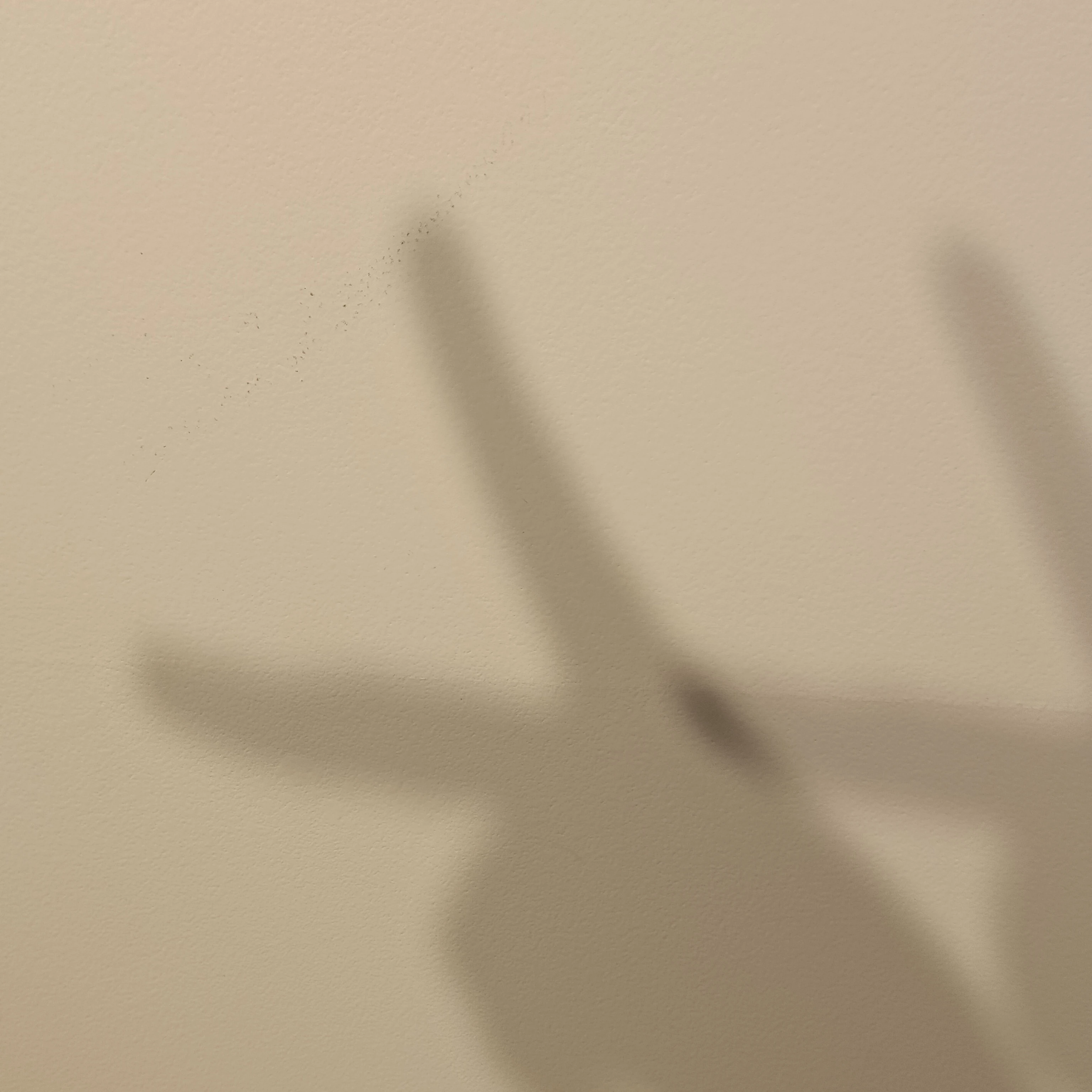 최연준