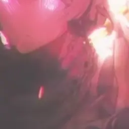 Profile image of 初兎