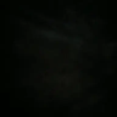 Profile image of 미친놈들