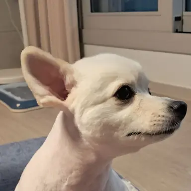 Profile image of 박하정