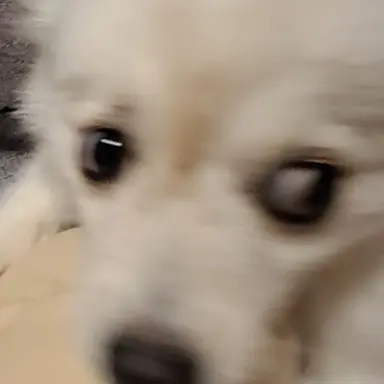 Profile image of 박기량