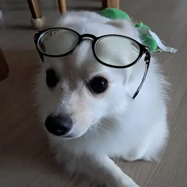 Profile image of 양여진