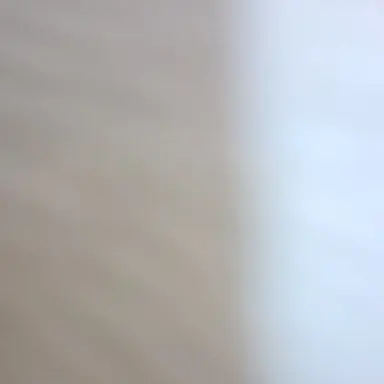 Profile image of 안혜지