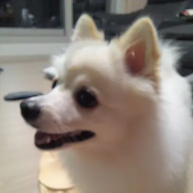 Profile image of 김자영