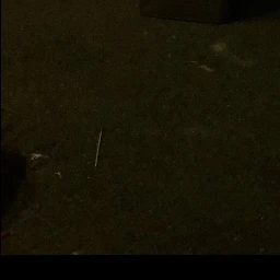 葵