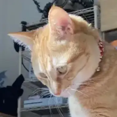 Profile image of 미겜즈 오해