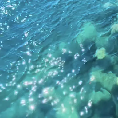 Profile image of 勘右衛門