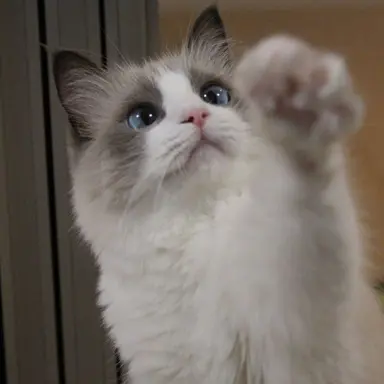 Profile image of 이뇨