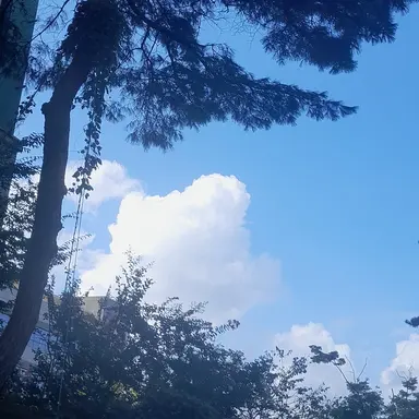 Profile image of 잭