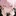 花宮ヒメ