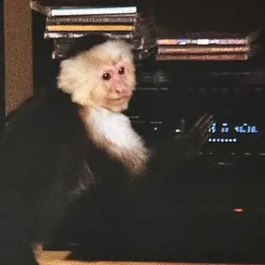 Profile image of Marcel The Monkey
