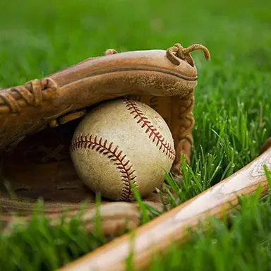 Profile image of Baseball
