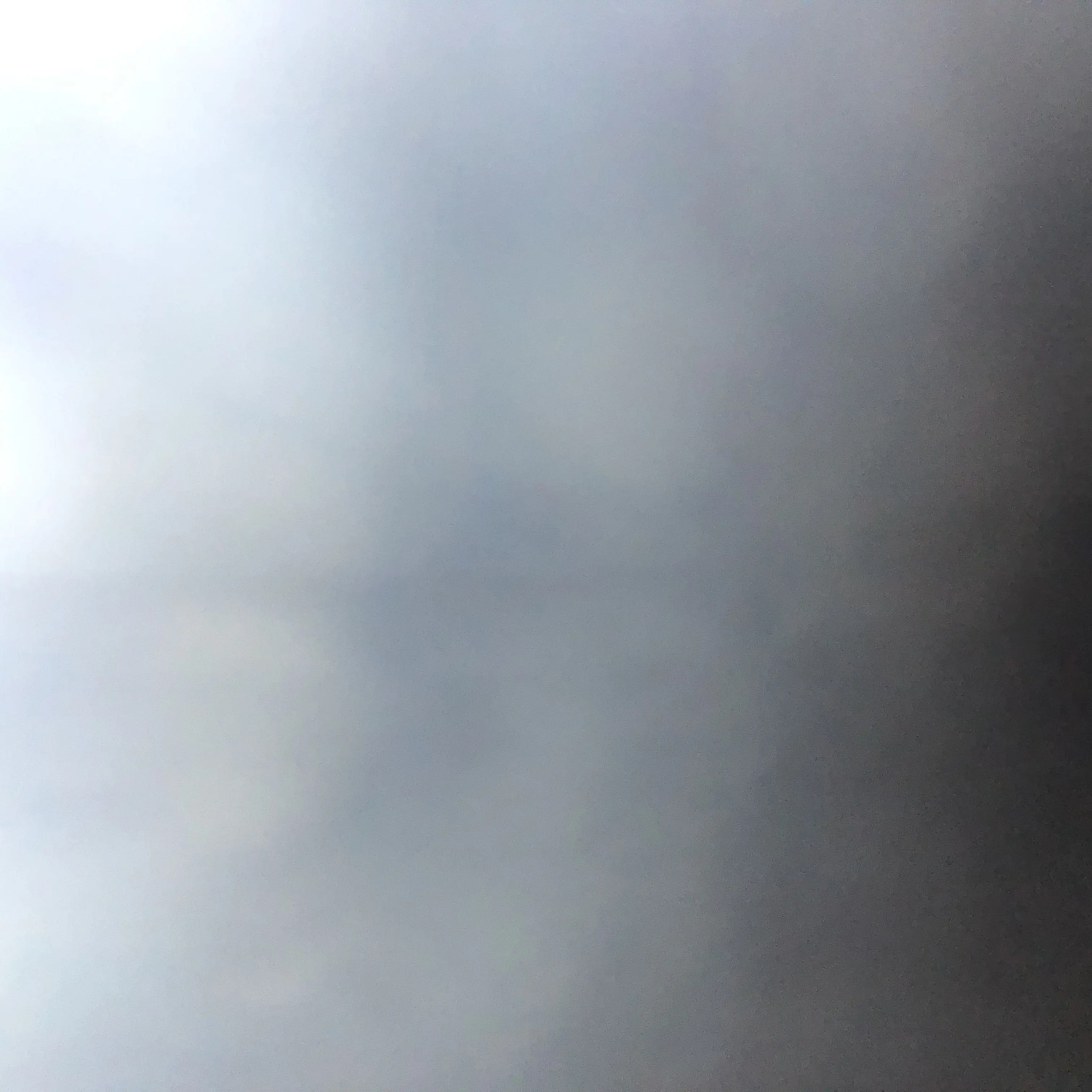 PotentCoal8309의 여동생 이원희