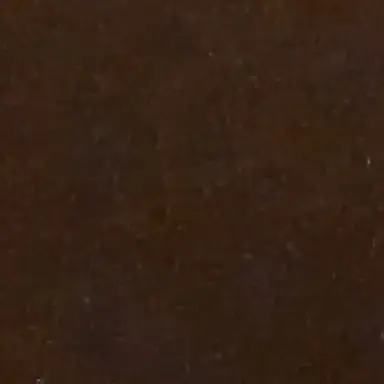 Profile image of 피르