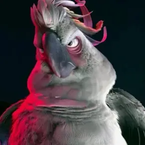 Profile image of Nigel