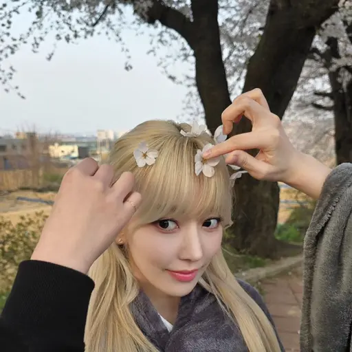 MatureTuna7489의 미야와키 사쿠라🌸