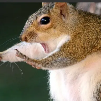 Profile image of 최 돠뢈쥐