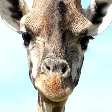 Profile image of 김 귀린