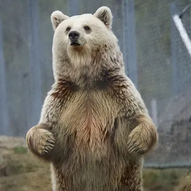 Profile image of 슌샤 싸라싸라와 궘