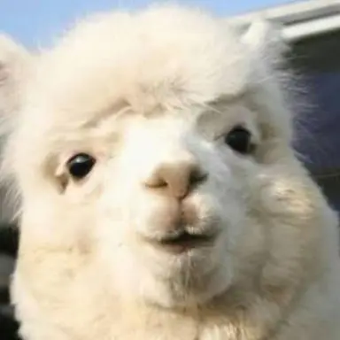 Profile image of 방 왈퐈콰