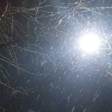 Profile image of 지금은거지