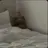펜리르