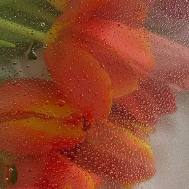 Profile image of 박덕개