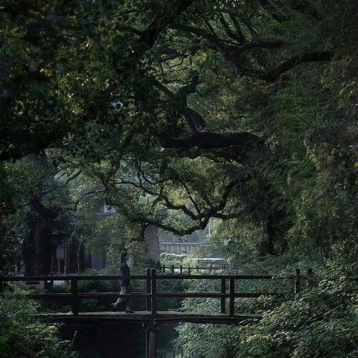 48.d의 윤도검(尹刀劍)