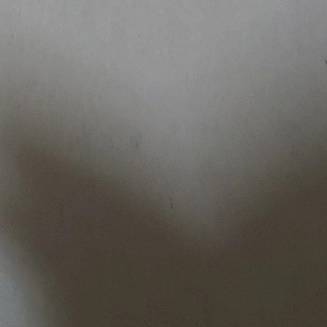 진석
