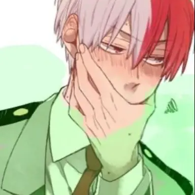 Profile image of Shoto Todoroki