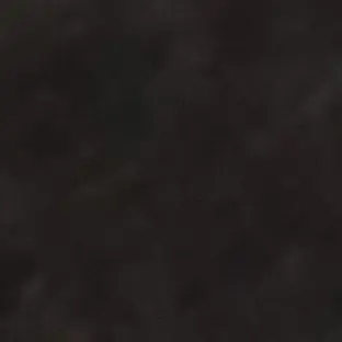 Profile image of Safari