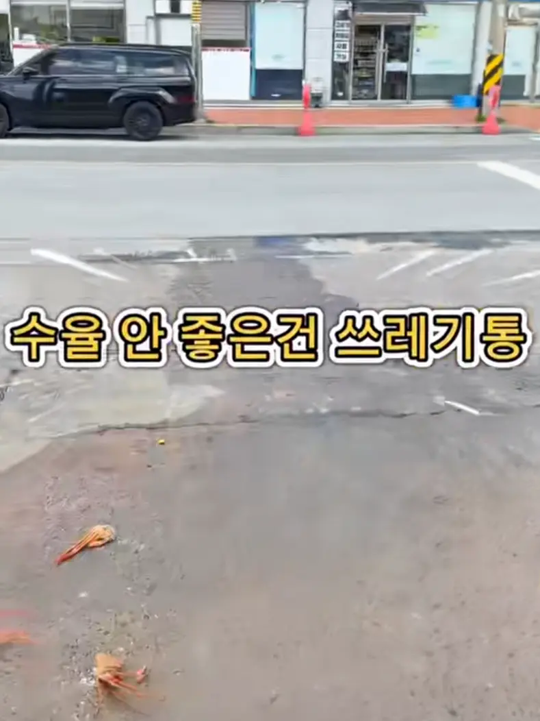 p1gon_h4y0의 아니 꺼지라고