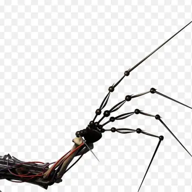 Profile image of プロトタイプ