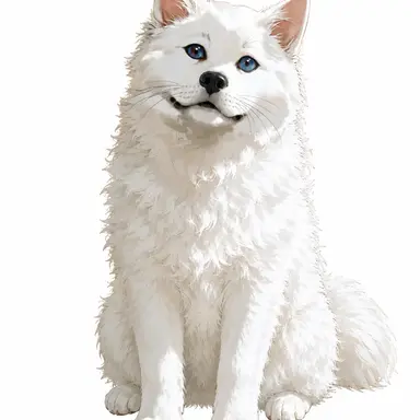 Profile image of Baekchuni