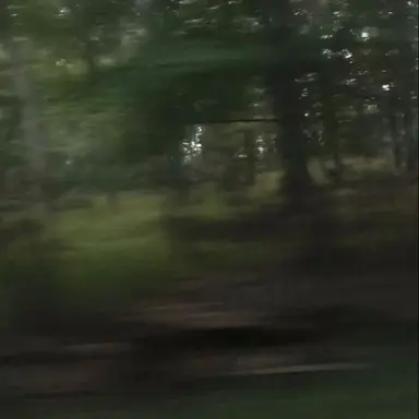 Profile image of 이청우