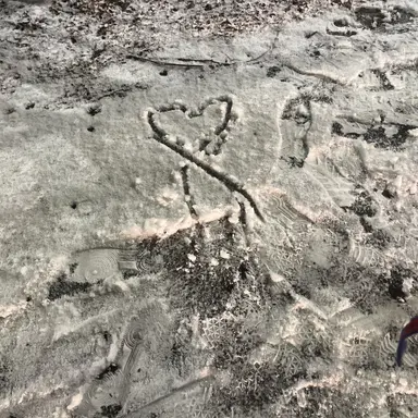 Profile image of 여우