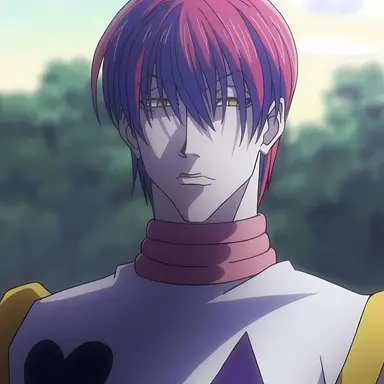 Profile image of ヒソカ