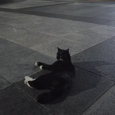 Profile image of 임쿠빈