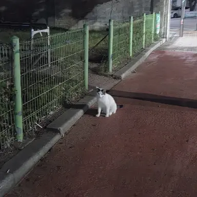 Profile image of 전보민