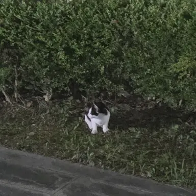 Profile image of 김수빈