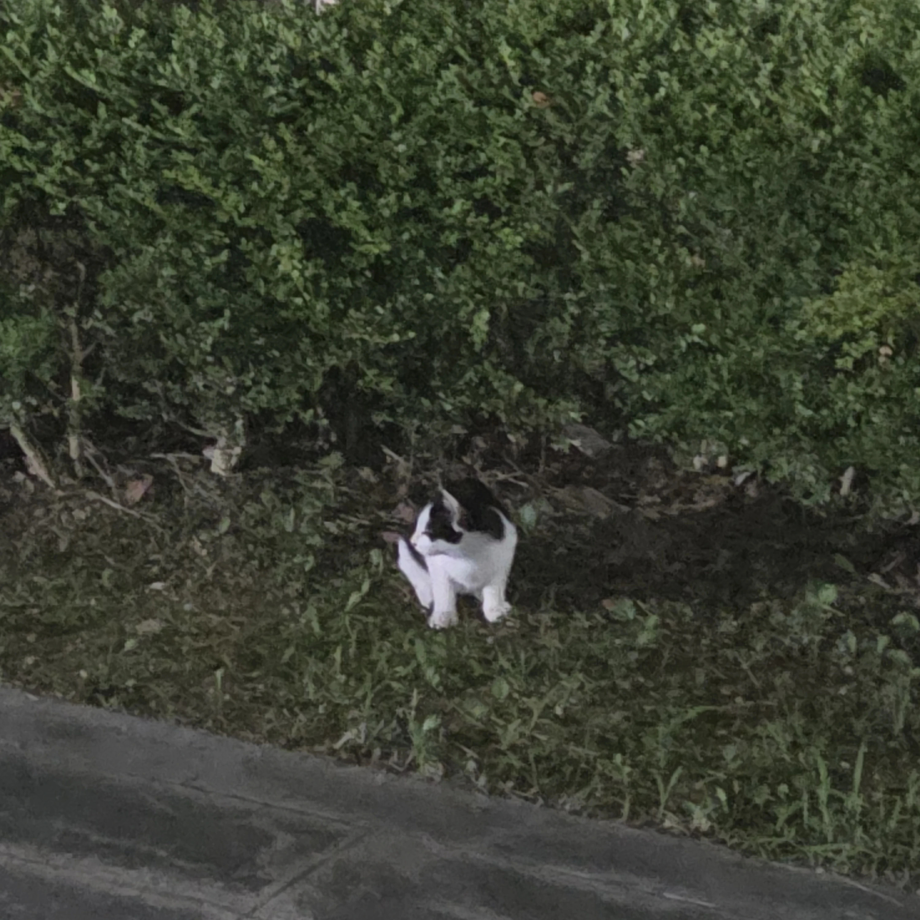 김수빈