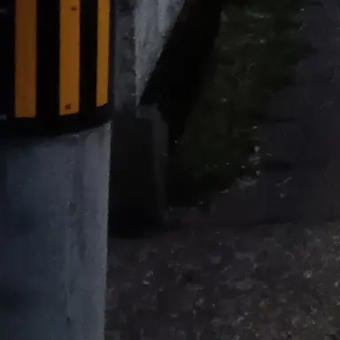 Profile image of ルート