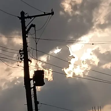 Profile image of フランシス