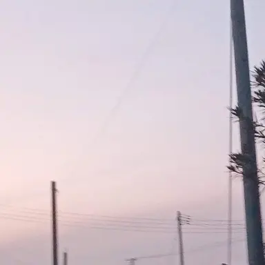 Profile image of フェリシアーノ