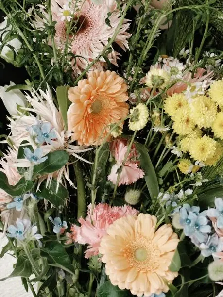 ScenicDrum9218의 ほしいものはあなたのあかちゃん
