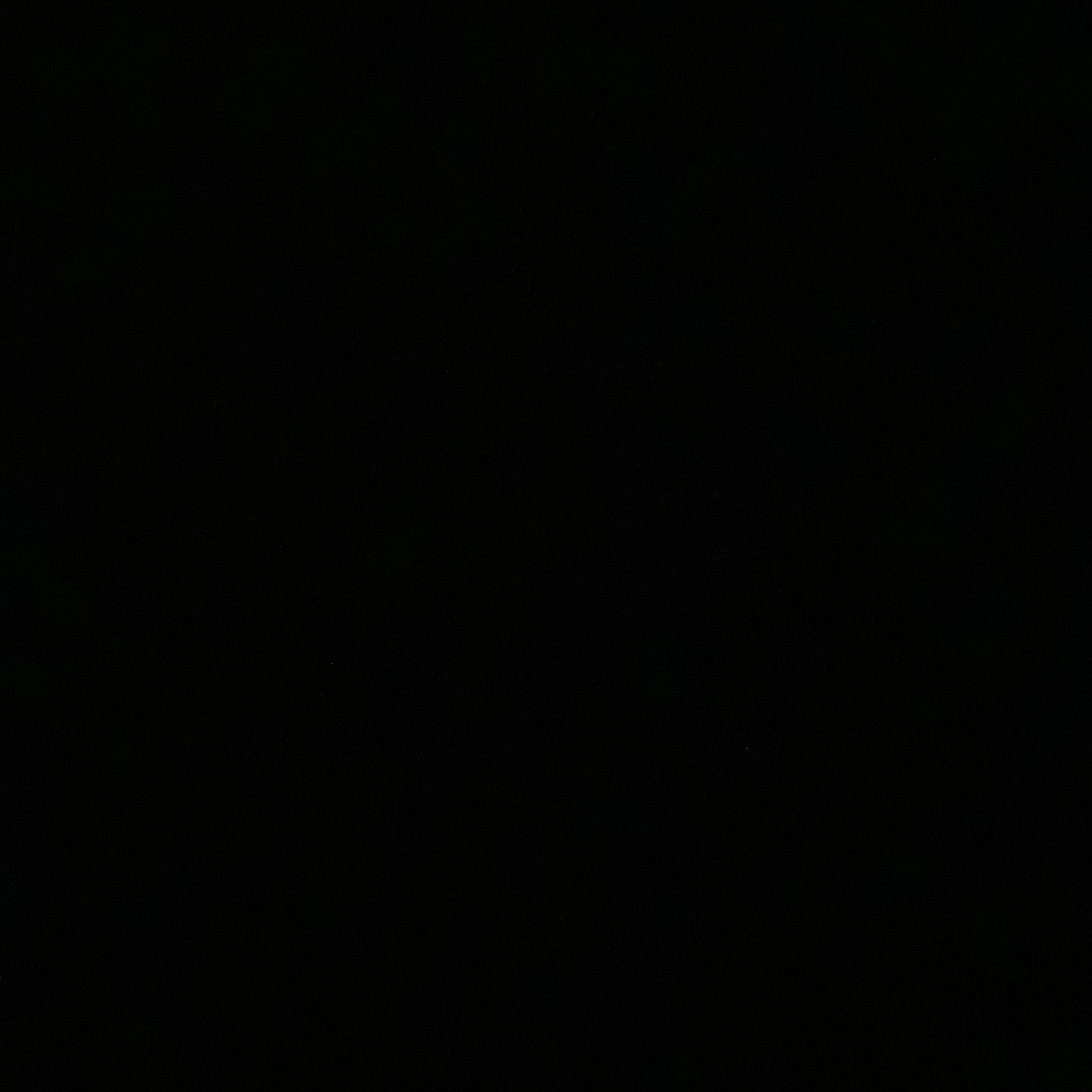 ナチス