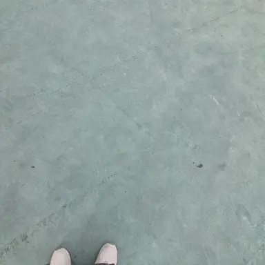 Profile image of 심지윤