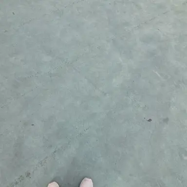 Profile image of 임세현