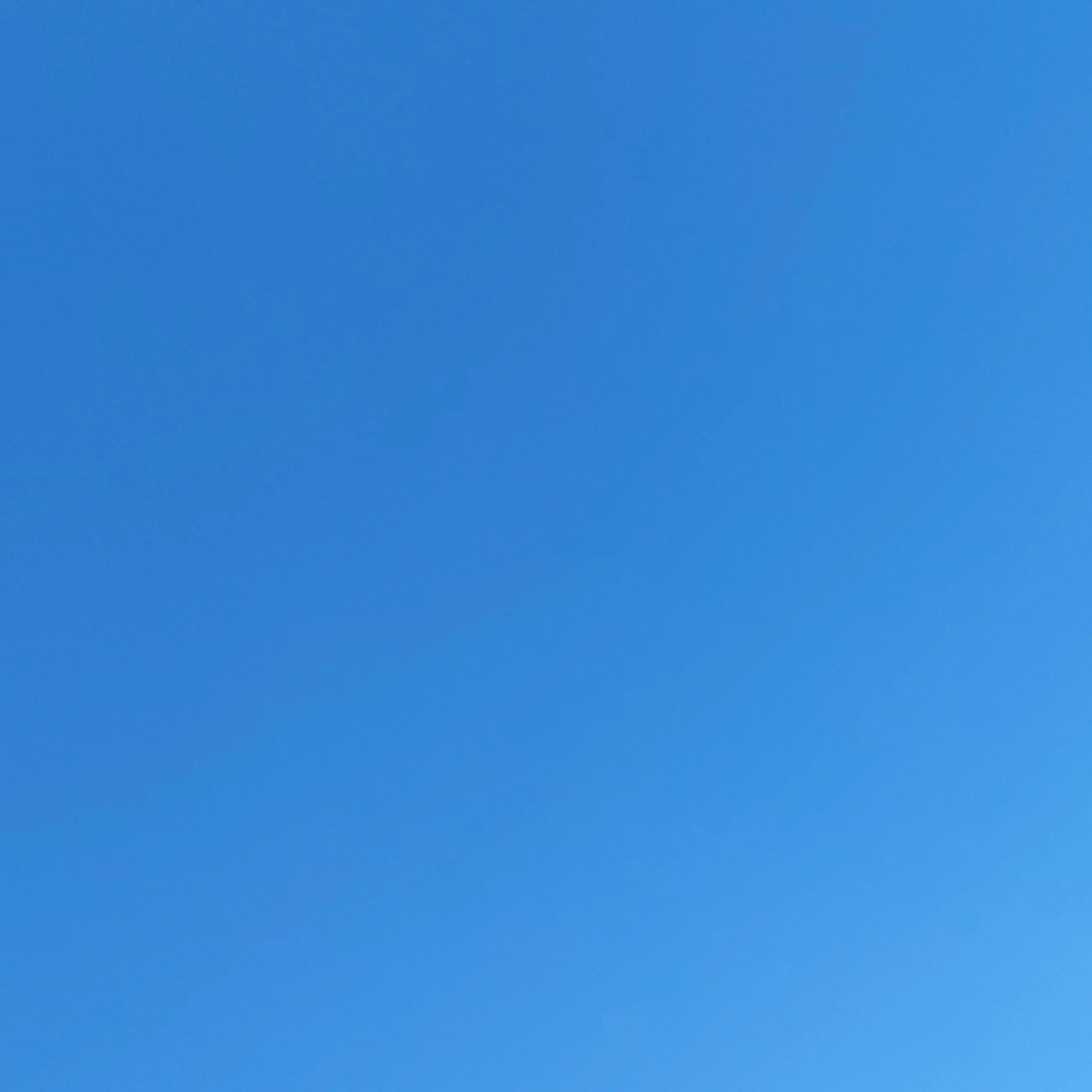 BlandQuoll6213의 "나도 신경써줘." (유저 버전)